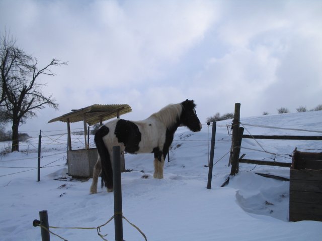 ../images/018-Skonja im Winter.jpg