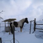 ../thumbnails/018-Skonja im Winter.jpg.small.jpeg